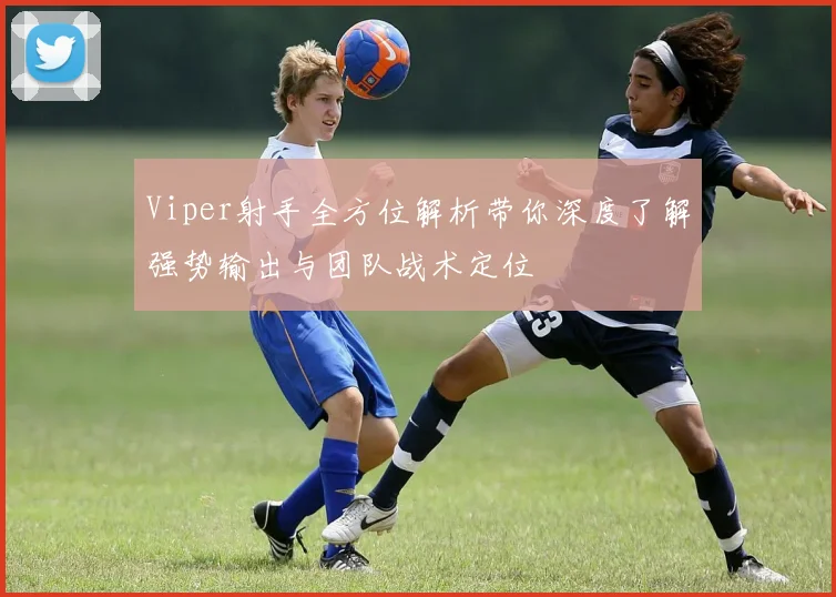 Viper射手全方位解析带你深度了解强势输出与团队战术定位