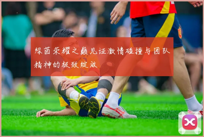 绿茵荣耀之巅见证激情碰撞与团队精神的极致绽放